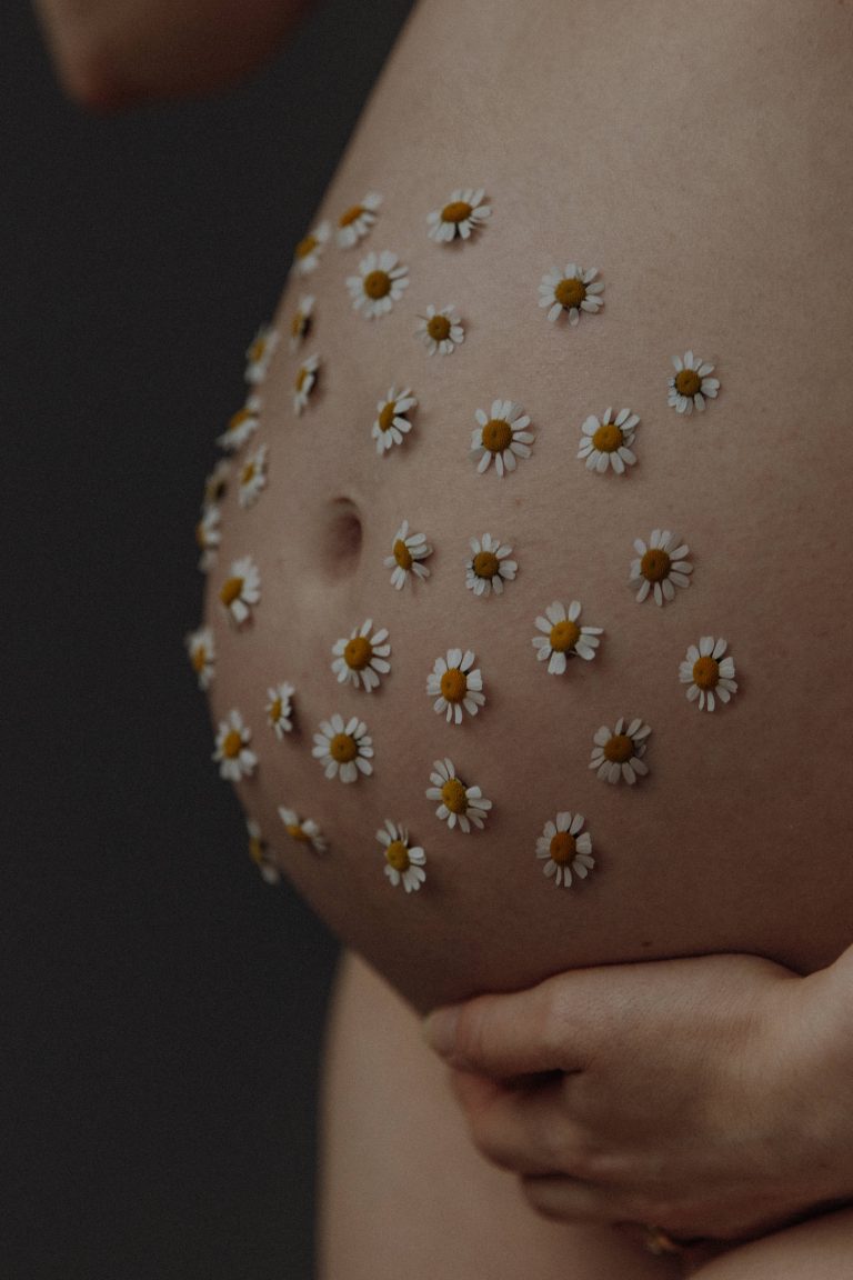 Kreatives Babybauch Shooting – stilsichere, moderne Detailaufnahme mit Gänseblümchen auf dem Schwangerschaftsbauch